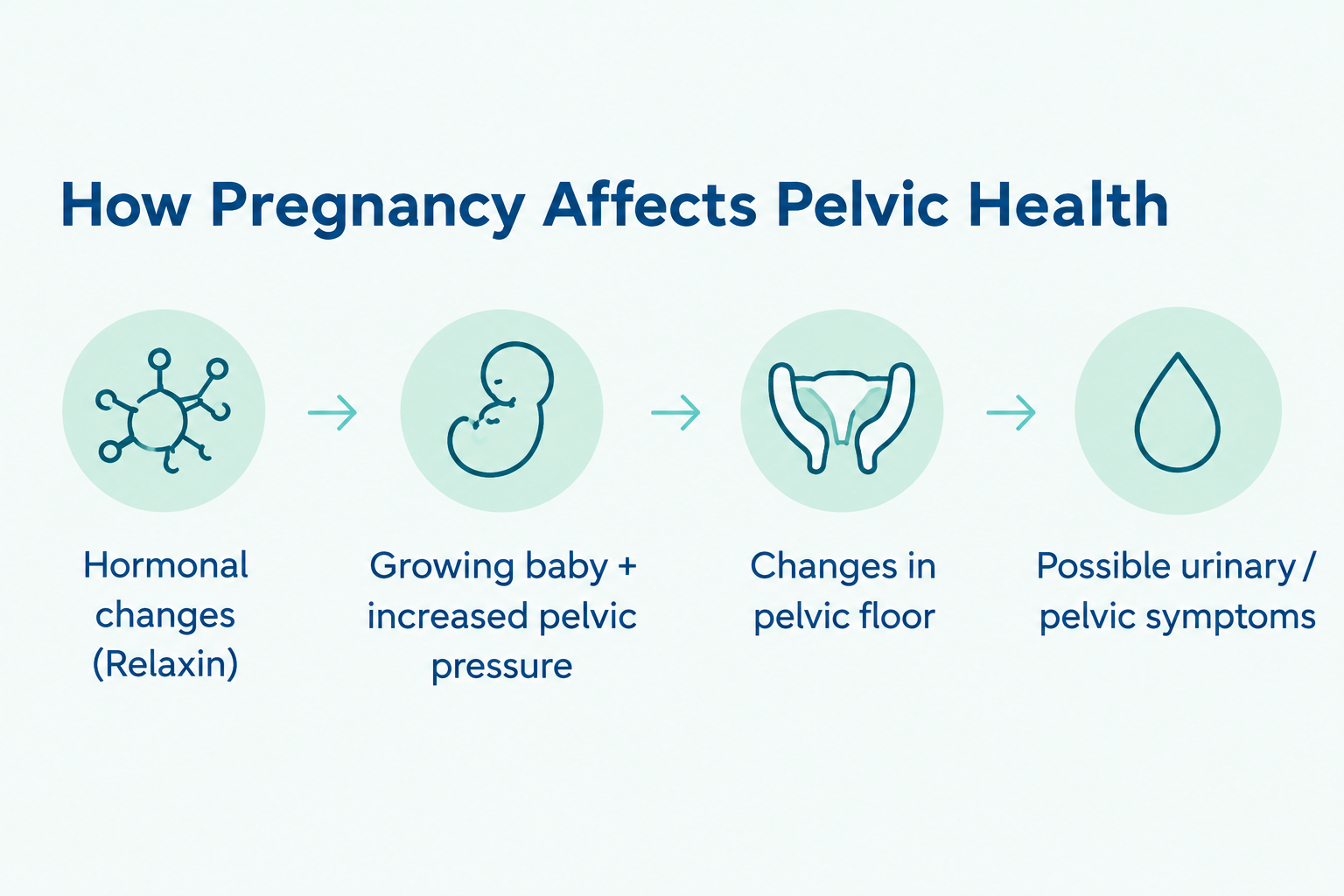 Pregnancy and Pelvic Health Infographic