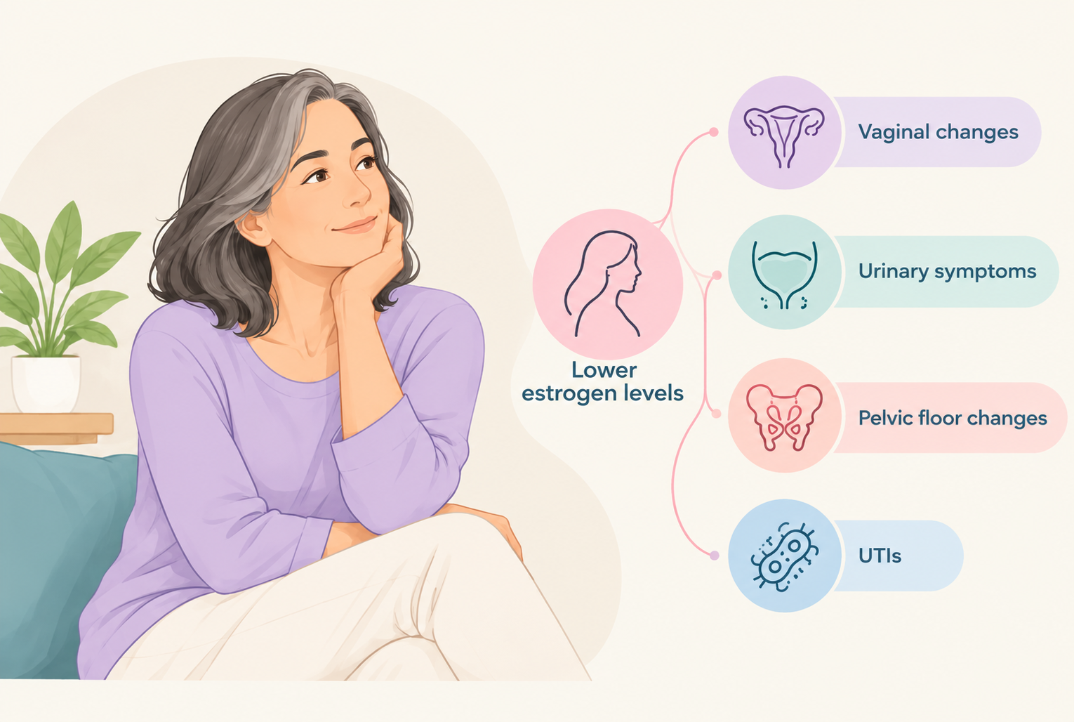 Menopause Changes Infographic